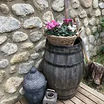 Sarl L'alzina *