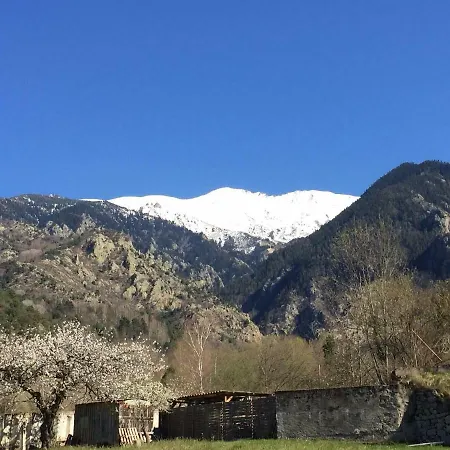 Sarl L'alzina *