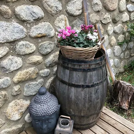 Sarl L'alzina *