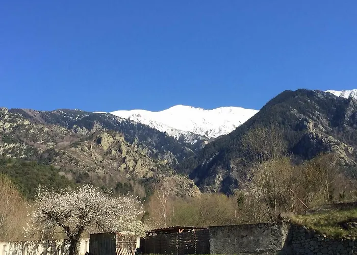 Sarl L'alzina *