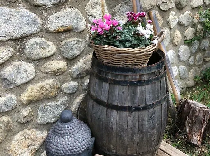 Sarl L'alzina *